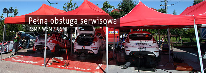 Pełna obsługa serwisowa RSMP, WSMP, GSMP